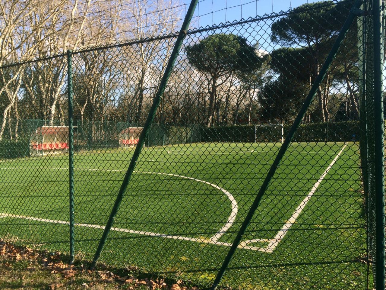 Esercizio commerciale in Viale del Tirreno 45, Pisa, {3} - Foto 2