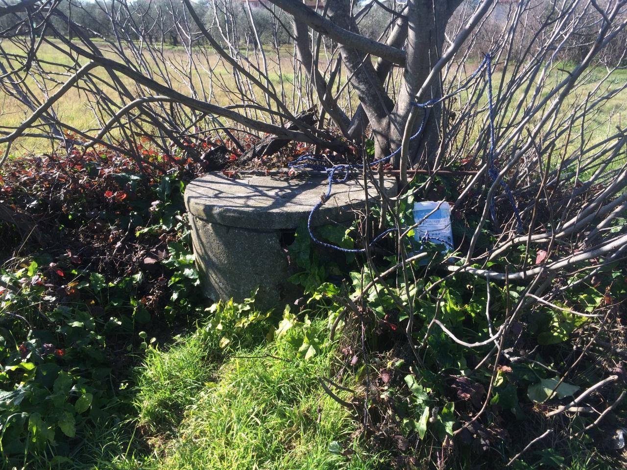 immagine annuncio 1 di 4