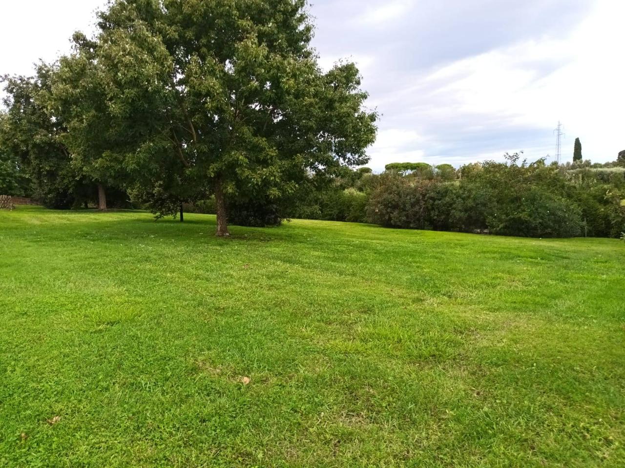 immagine annuncio 11 di 14