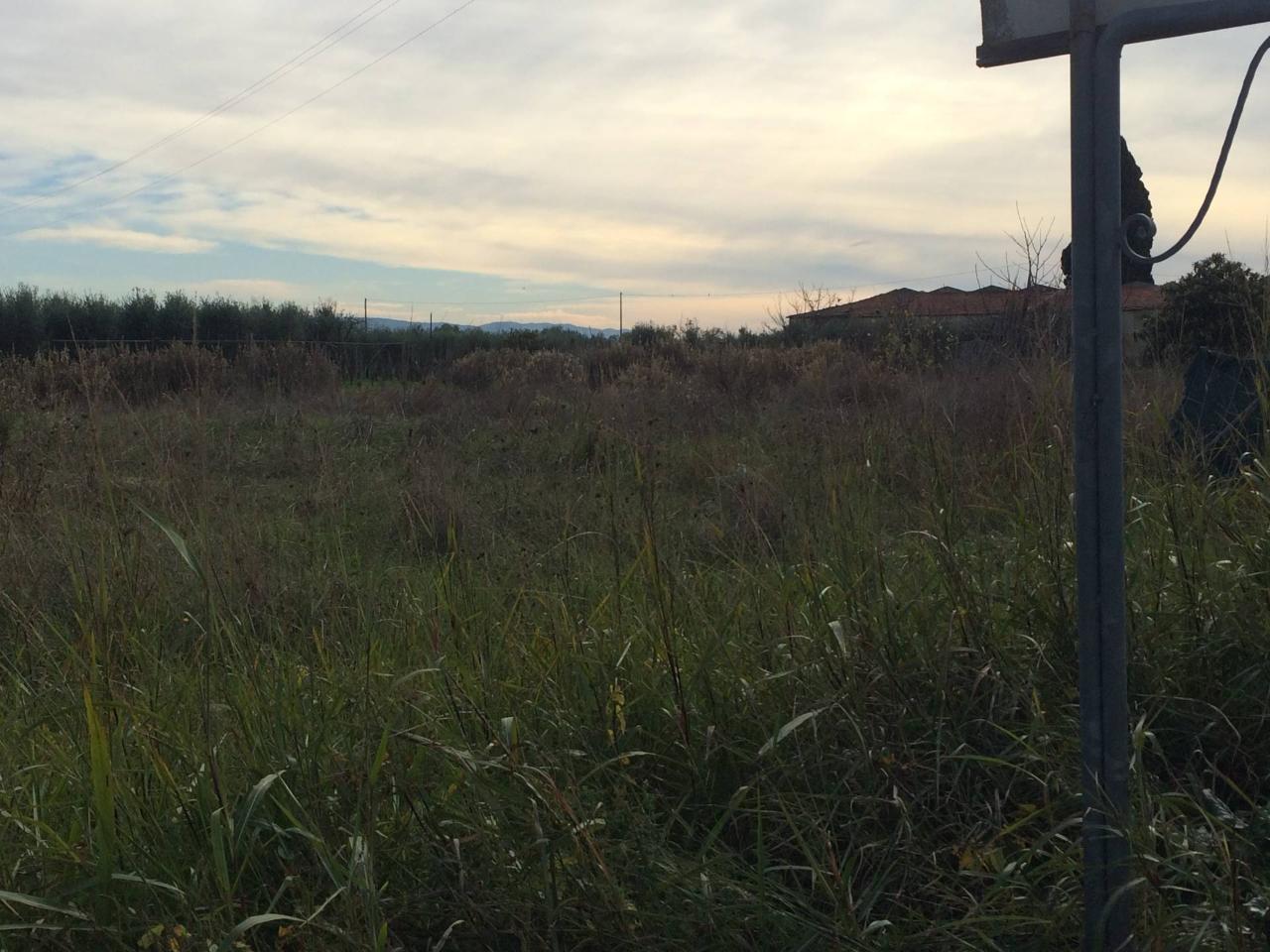 immagine annuncio 1 di 3