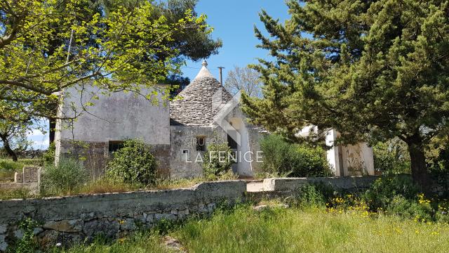 Trullo, Martina Franca - Photo 1