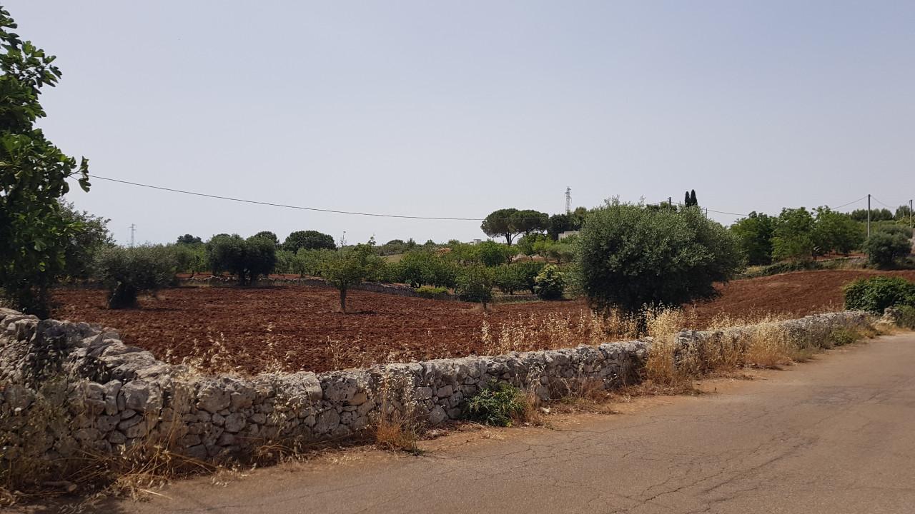 immagine annuncio 4 di 7