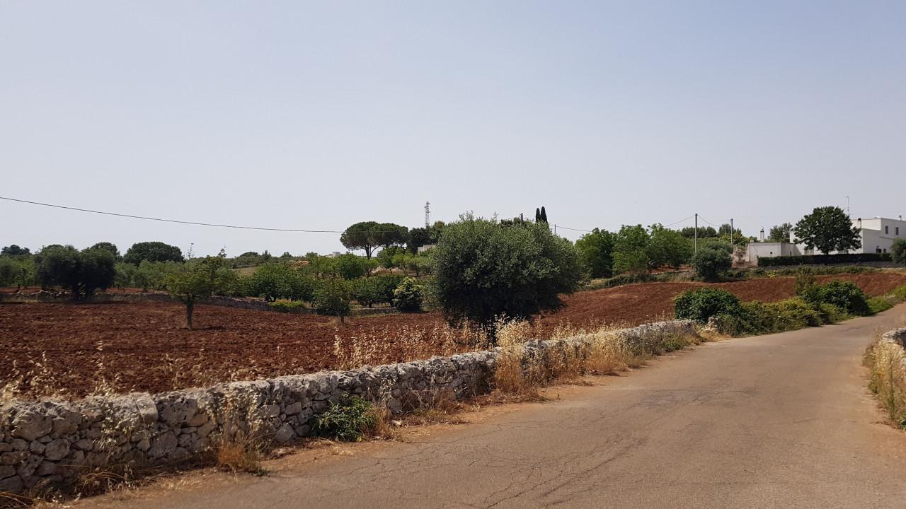 immagine annuncio 5 di 7