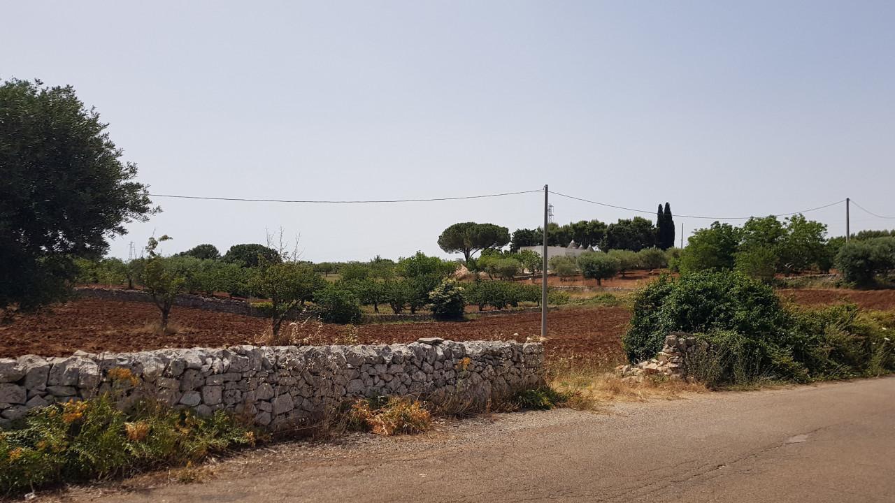 immagine annuncio 6 di 7