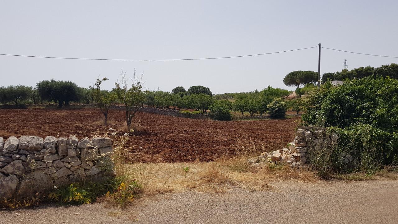 immagine annuncio 1 di 7