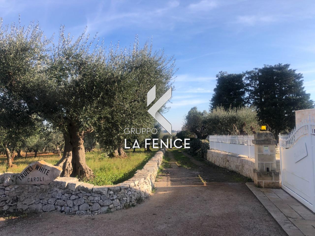 immagine annuncio 7 di 12