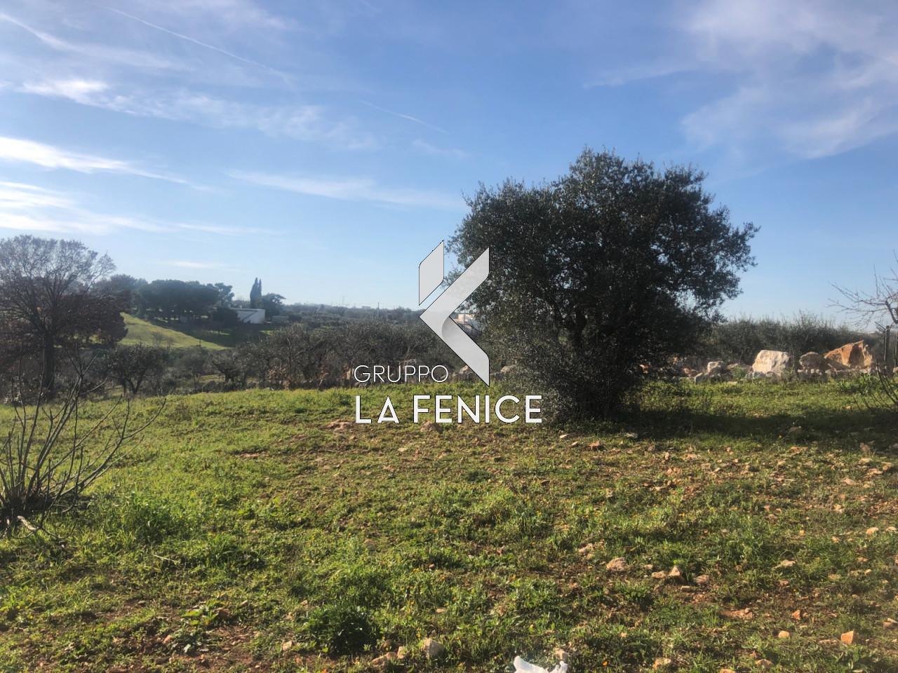 immagine annuncio 8 di 12