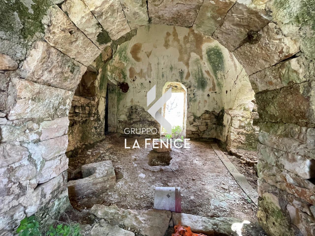 immagine annuncio 3 di 13