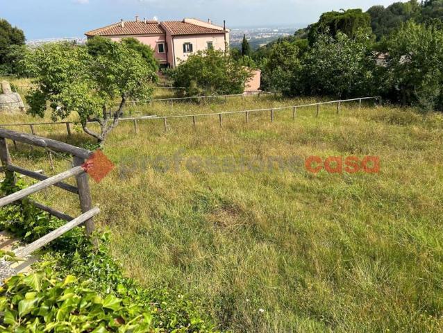 Agricultural land, Livorno - Photo 1