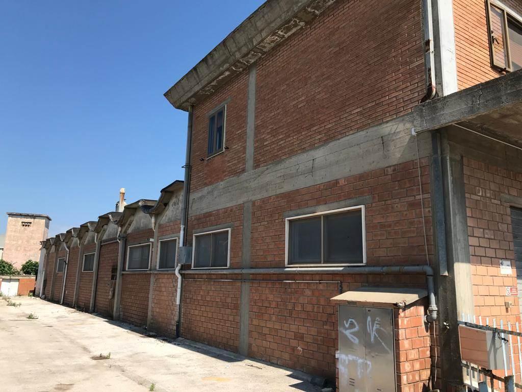 Laboratorio in , Grosseto, {3} - Foto 2