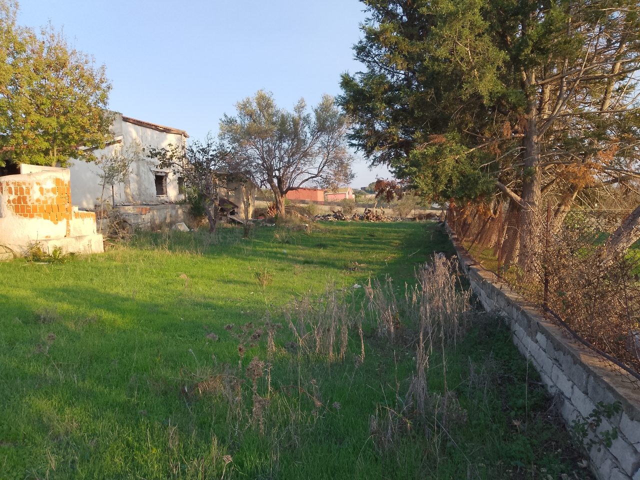 immagine annuncio 7 di 11