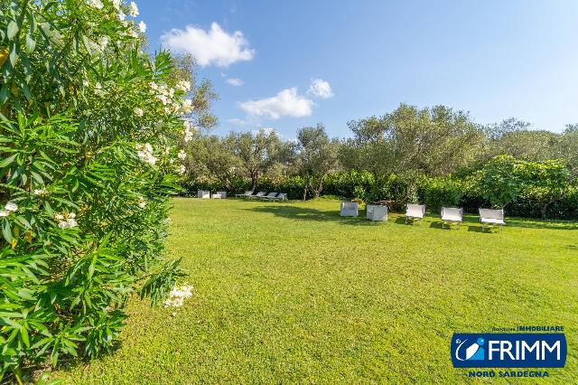 Terraced house in La Conciaredda 5, Olbia - Photo 1