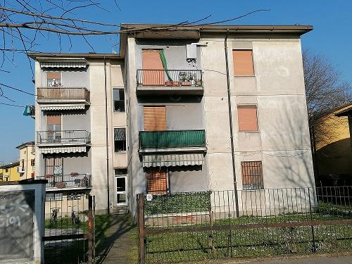 immagine annuncio 1 di 12