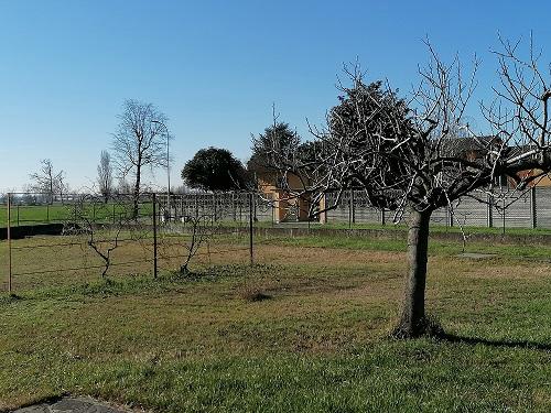 immagine annuncio 2 di 3