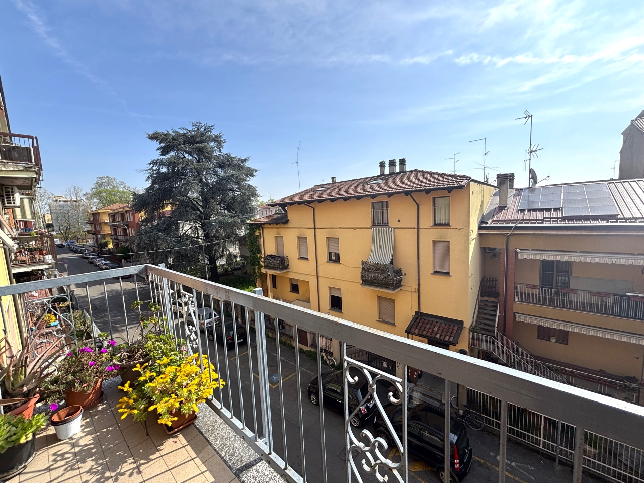 immagine annuncio 12 di 14