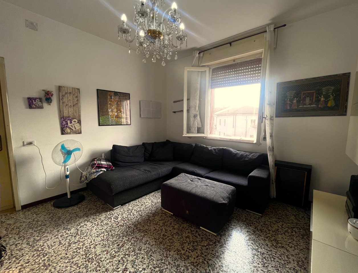 immagine annuncio 1 di 12