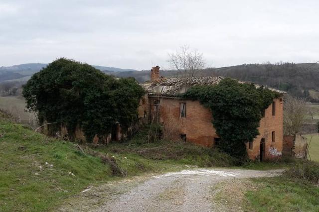 Country house or cottage in Strada Provinciale 438, Asciano - Photo 1