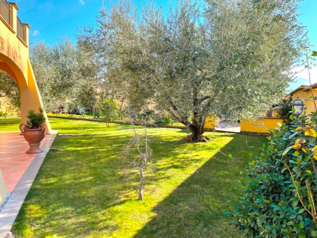 immagine annuncio 4 di 7