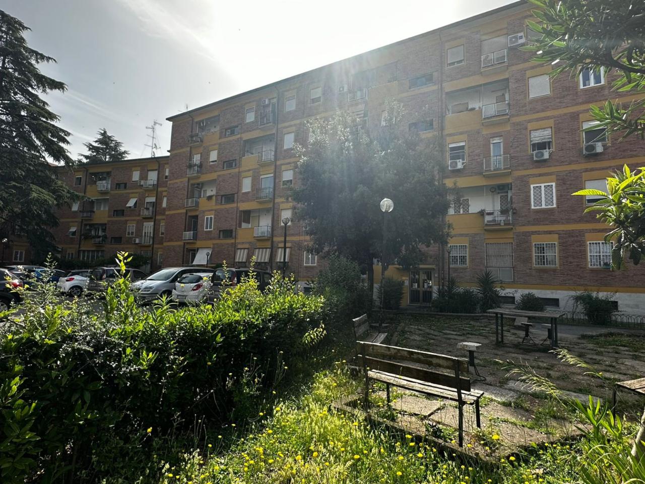 immagine annuncio 1 di 9