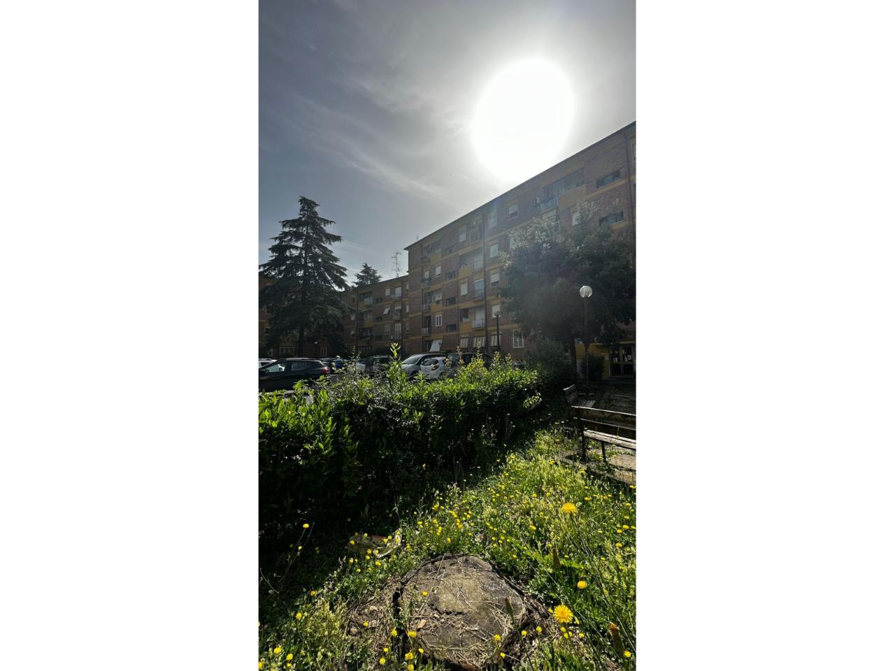 immagine annuncio 2 di 9