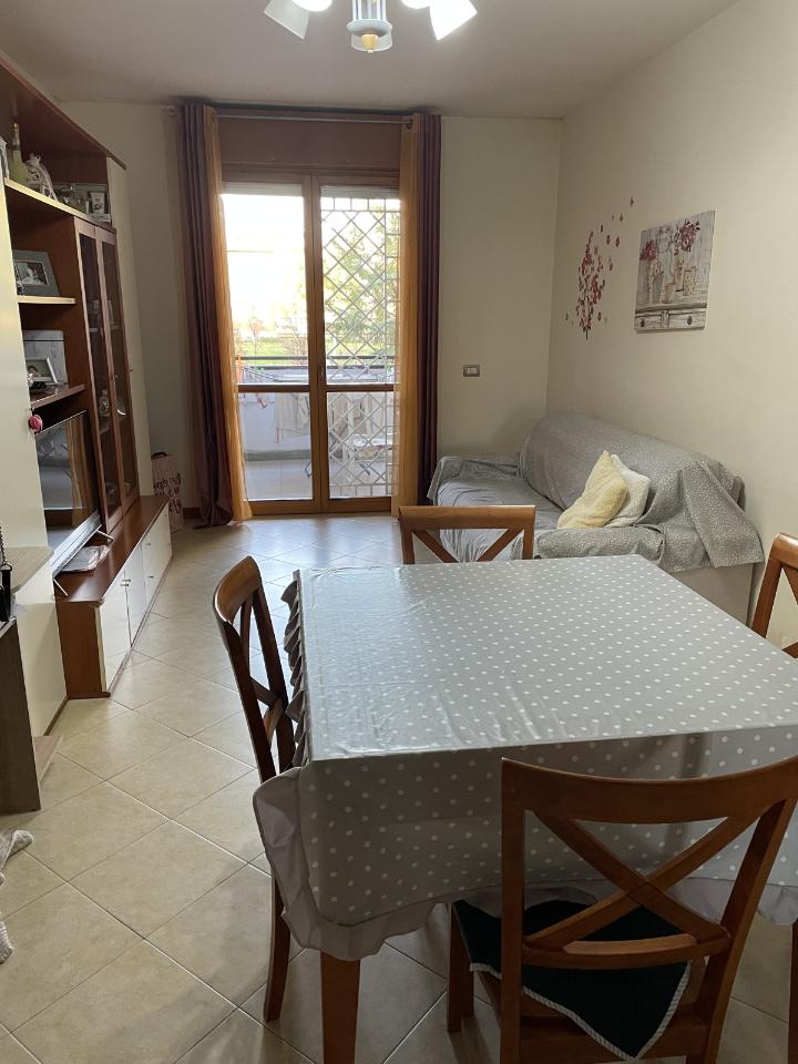 immagine annuncio 5 di 12