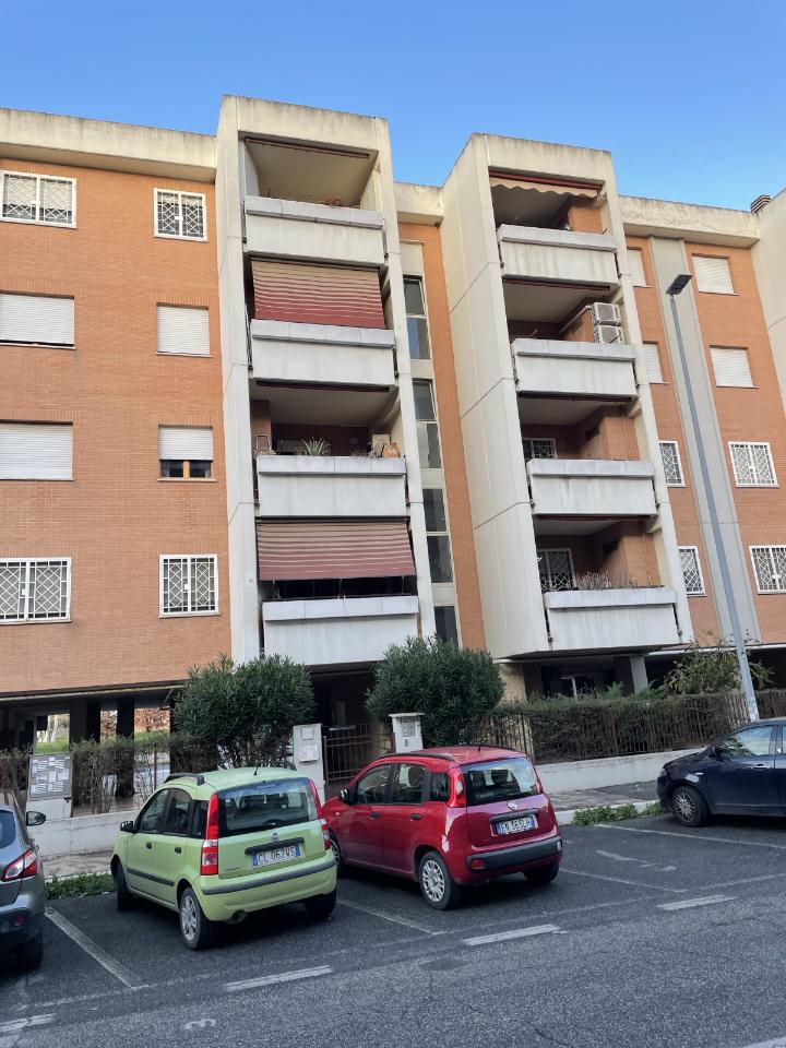immagine annuncio 3 di 12