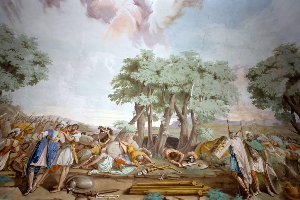 immagine annuncio 6 di 14