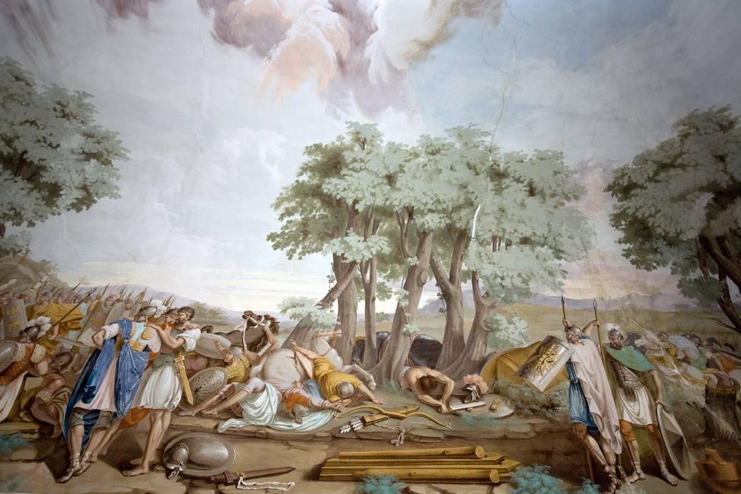immagine annuncio 7 di 15