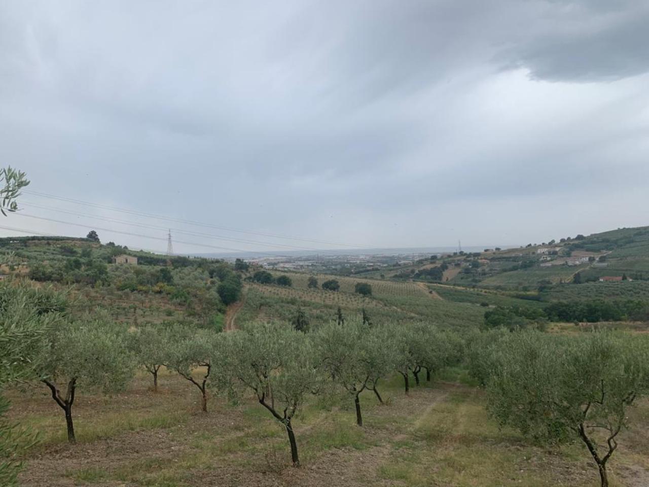 Terreno agricolo in vendita a Montecorvino Pugliano