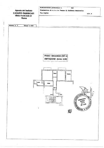 main planimetry real estate image