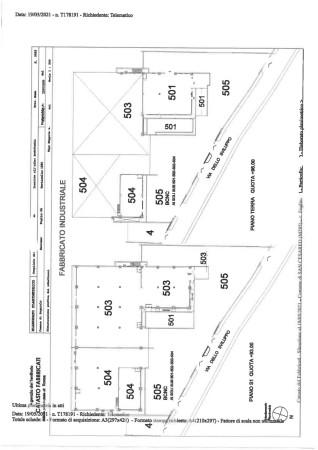 Capannone in Via dello Sviluppo, San Cesareo, {3} - Planimetria 1