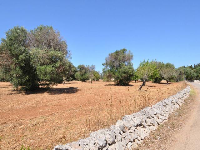 Terreno edificabile in {3}, Contrada Pagliamonte - Foto 1