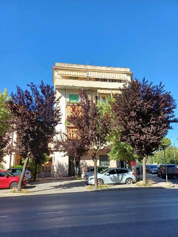 Quadrilocale in Via della Pace 58, Grosseto - Foto 1