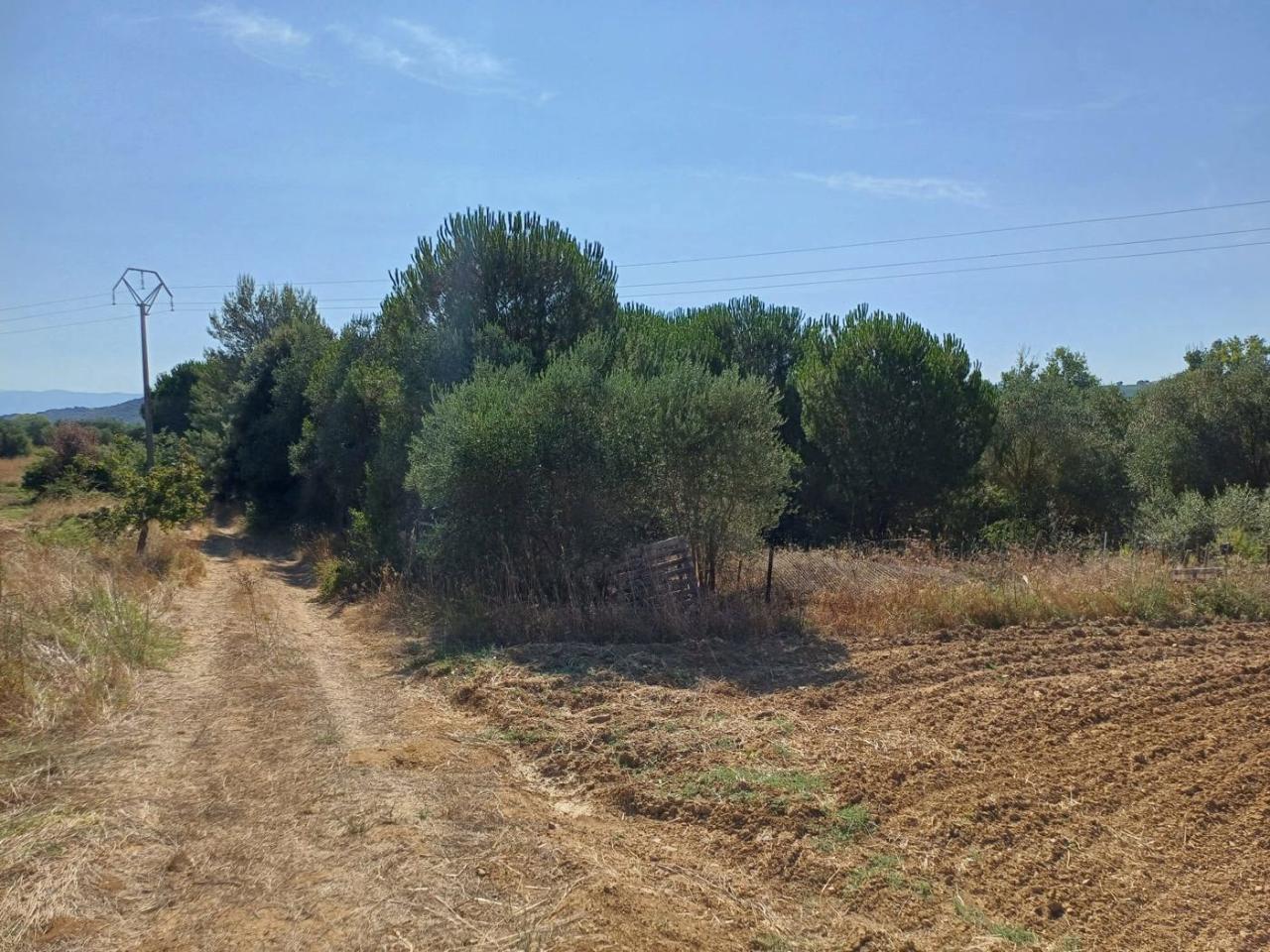 immagine annuncio 3 di 12
