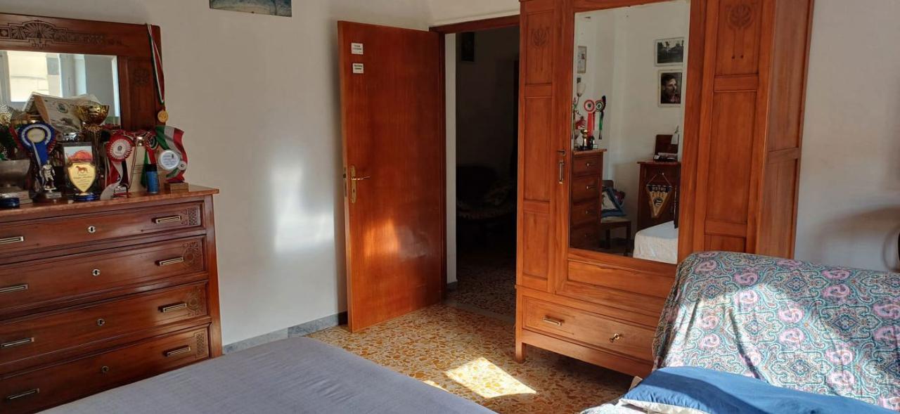 immagine annuncio 4 di 11