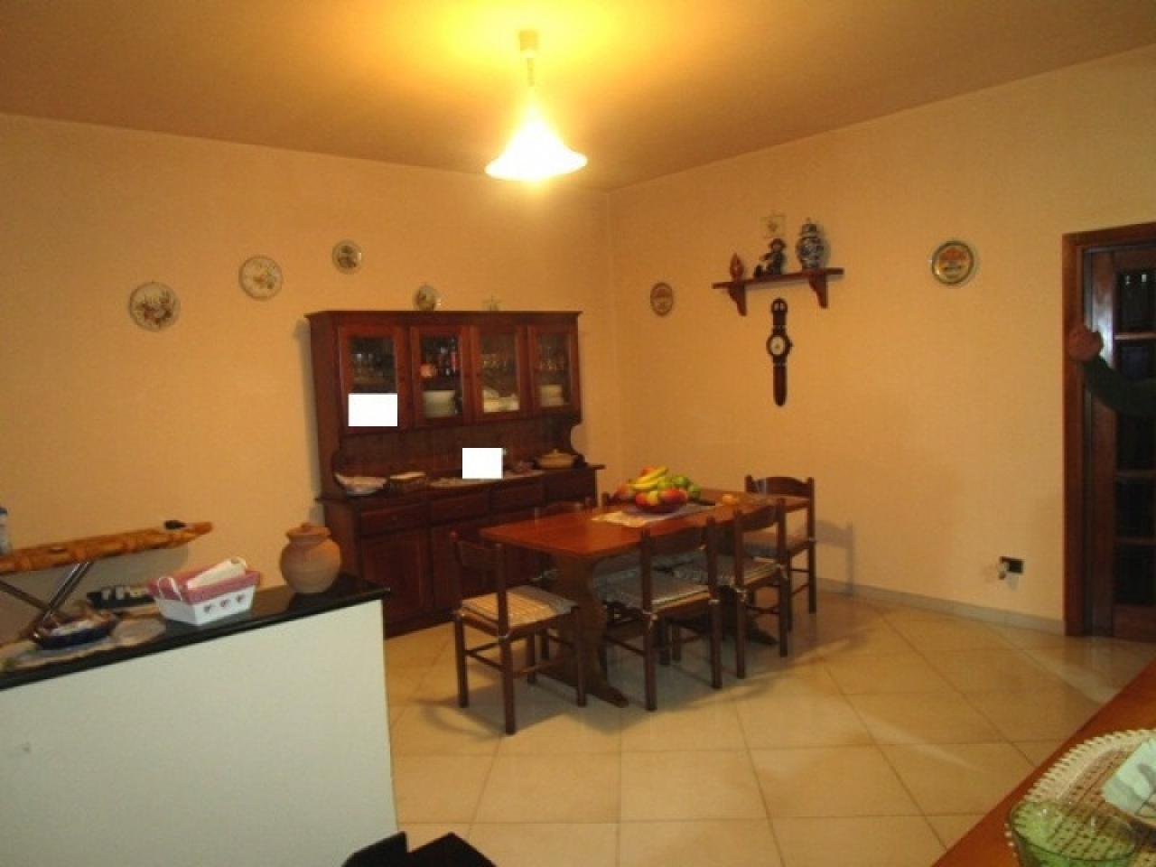 immagine annuncio 3 di 12