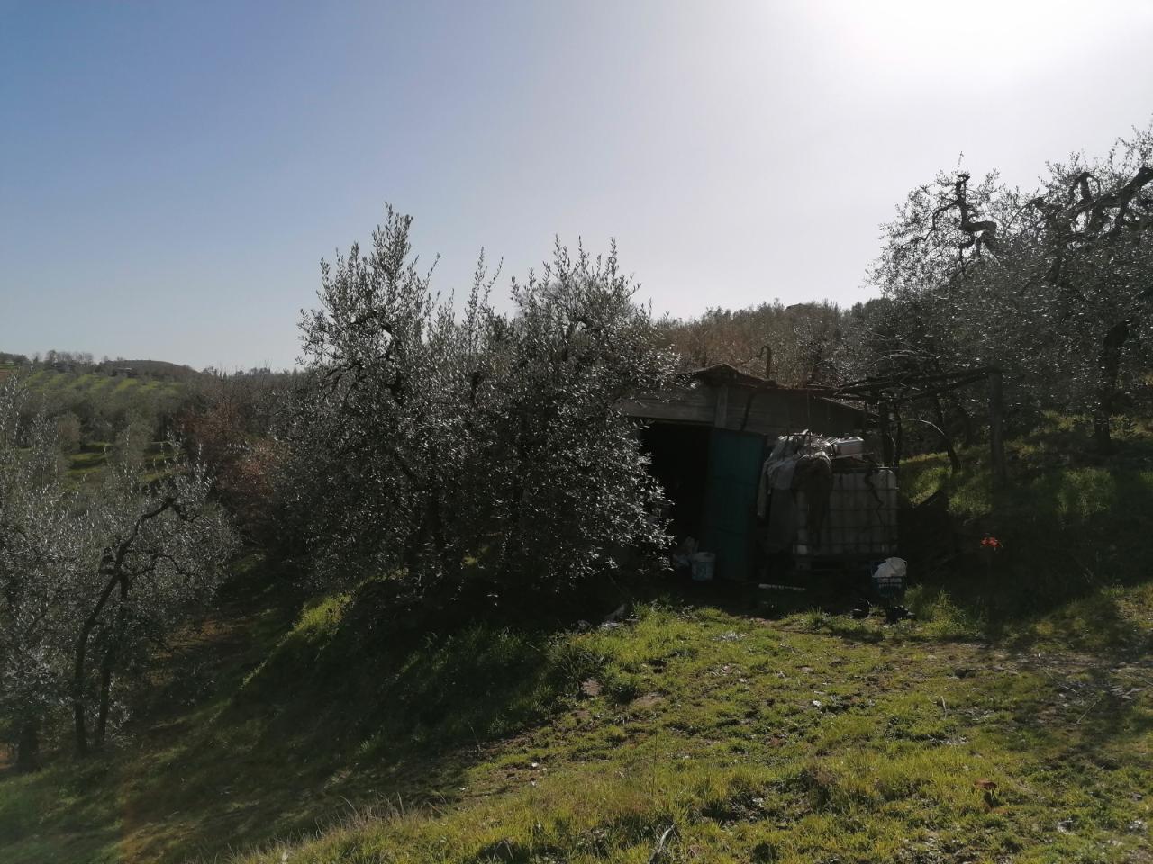 immagine annuncio 1 di 6