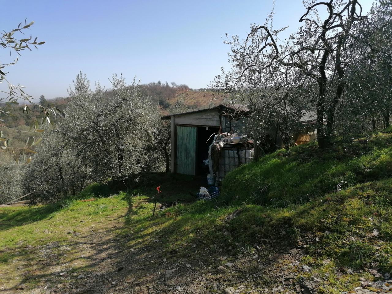 immagine annuncio 4 di 6