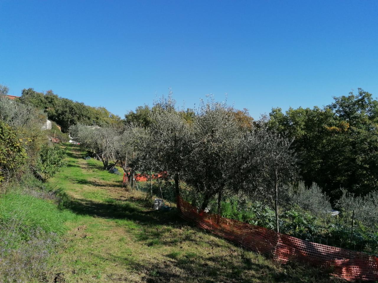immagine annuncio 1 di 9
