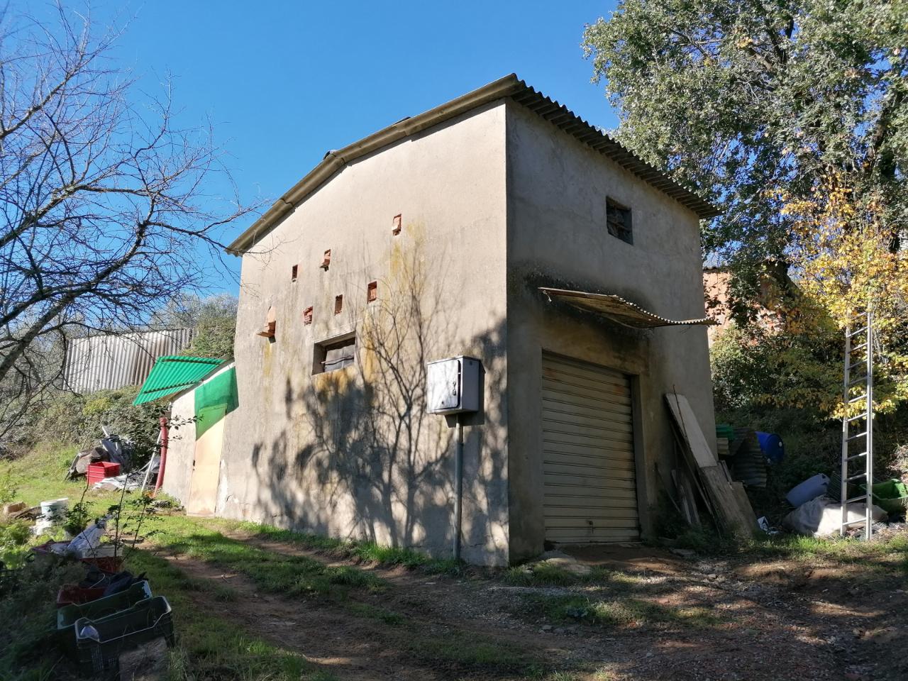 immagine annuncio 4 di 9