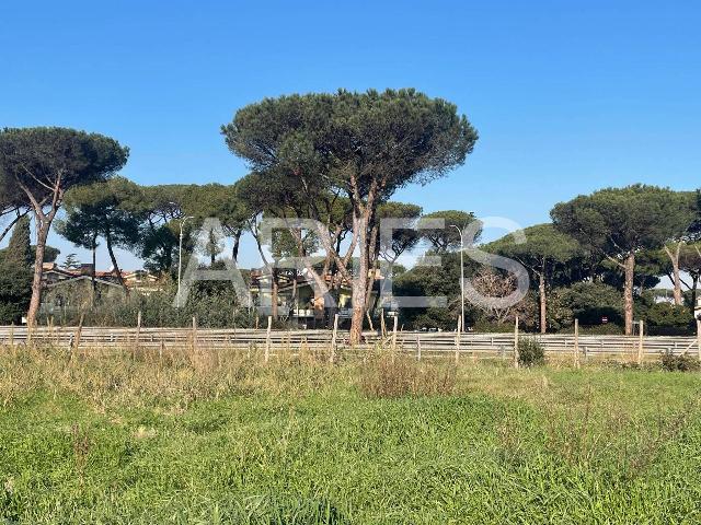 Terreno agricolo in Via Alessio Olivieri, Roma - Foto 1