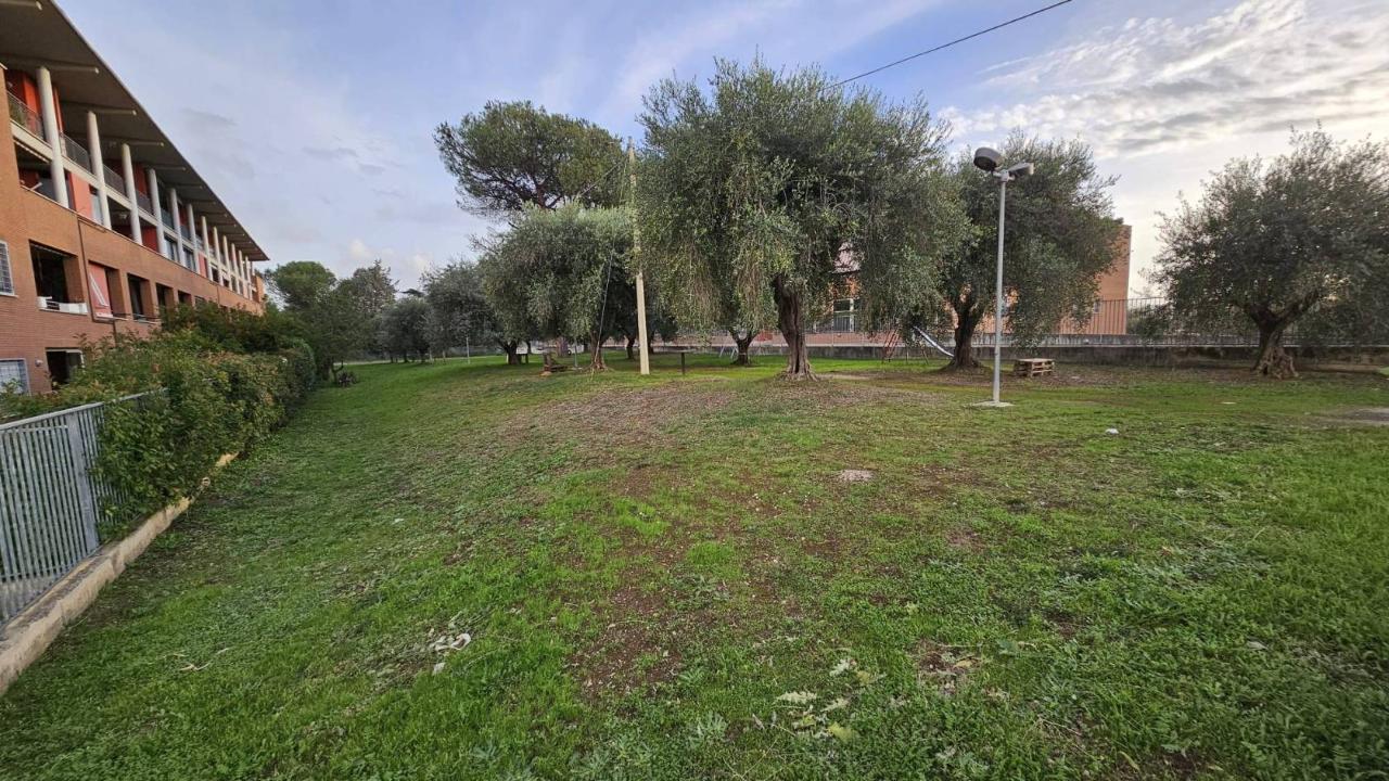 immagine annuncio 3 di 7