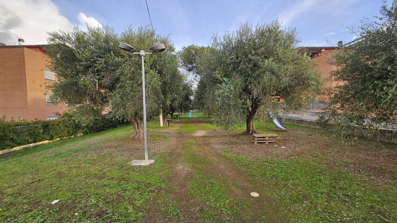 immagine annuncio 4 di 7