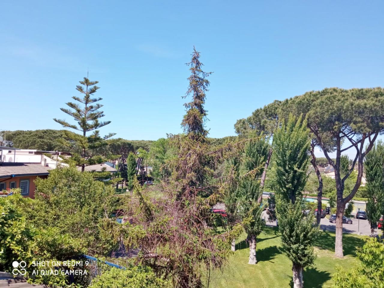 immagine annuncio 5 di 7