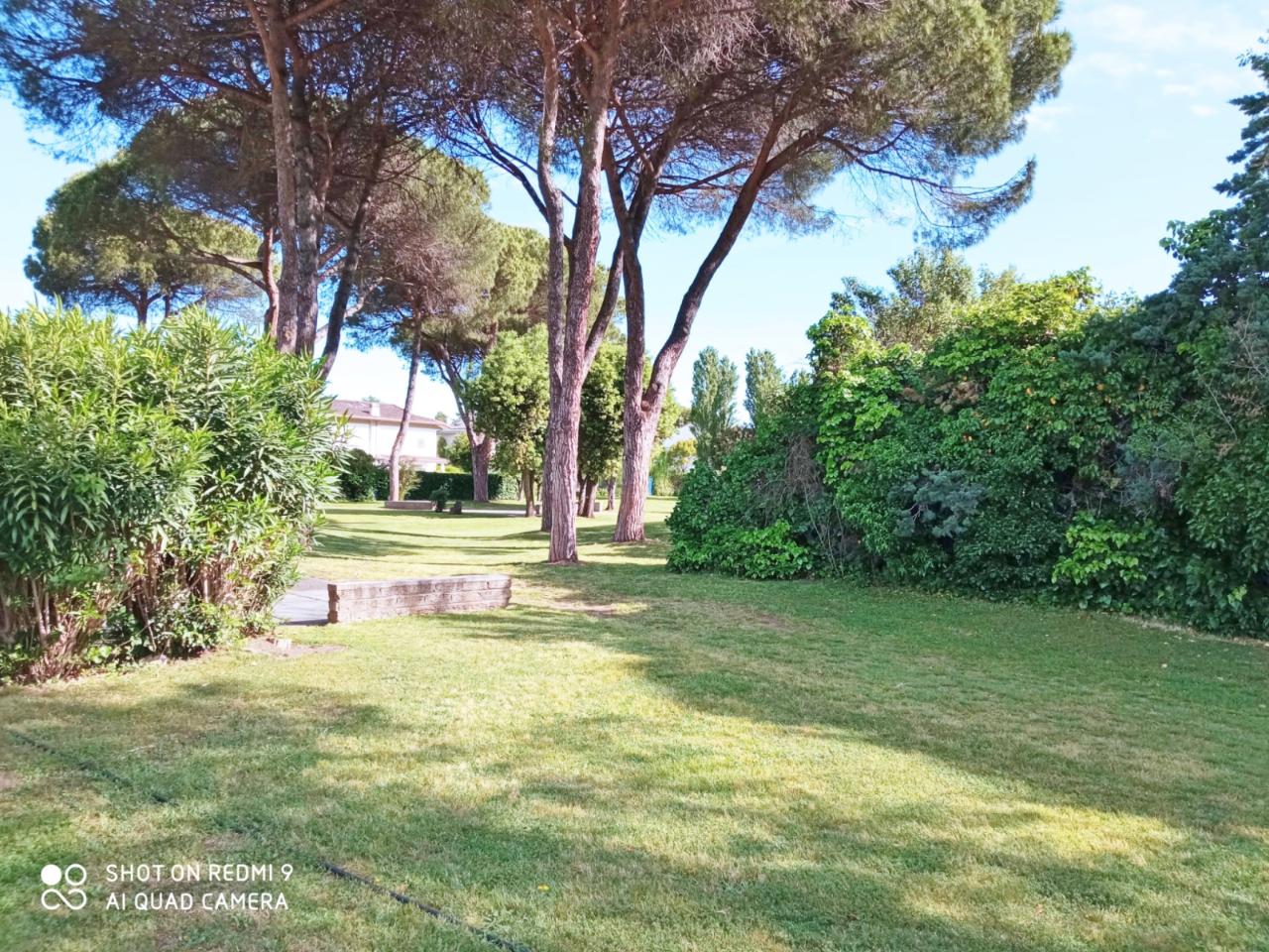 immagine annuncio 6 di 7