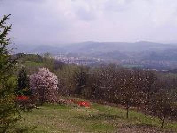 Terreno edificabile in Via Tiberina Sud, Sansepolcro - Foto 1