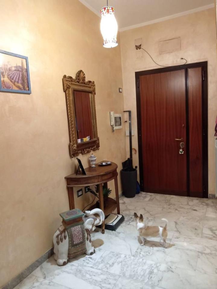 immagine annuncio 7 di 13