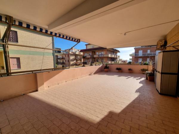 immagine annuncio 3 di 12