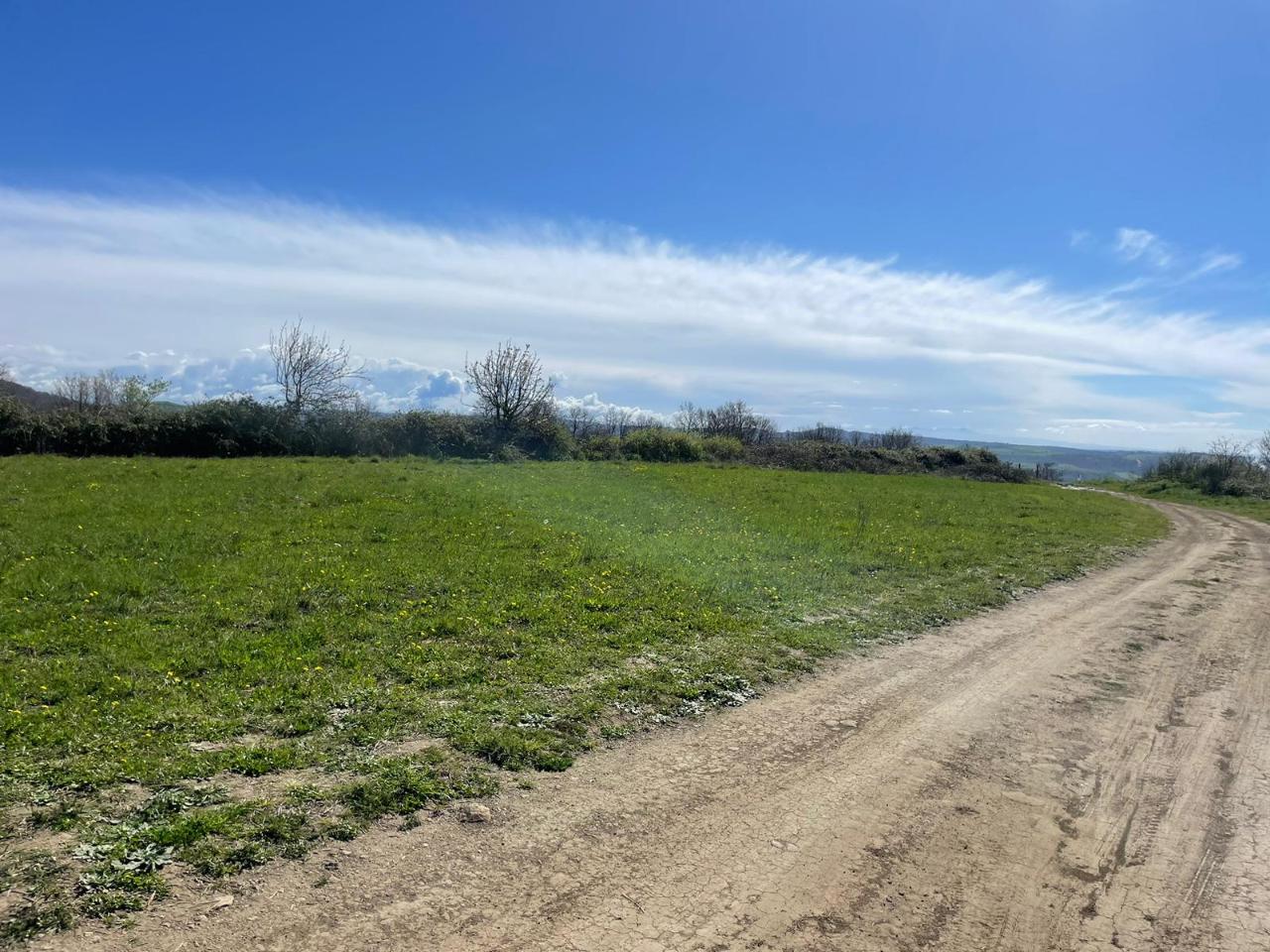 Terreno agricolo in vendita a Trevignano Romano