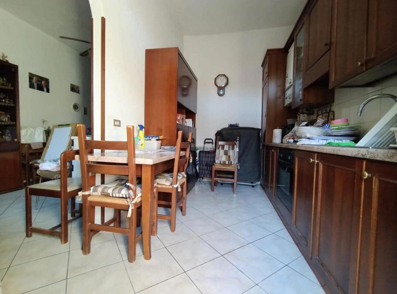 immagine annuncio 5 di 12